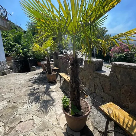 Guest house Great Wall *