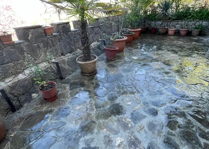 Great Wall Pensión Gjirokastër